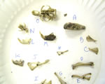be able to identify these using the chart