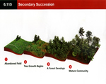 Chap 10 Ecosystems