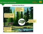 Chap 10 Ecosystems