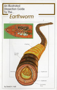 earthworm