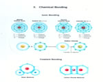 Cell Structure and Function