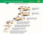 Cell Structure and Function