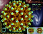 Viruses and Bacteria