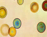 Protists and Fungi