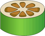 Seed Plants