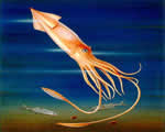 Mollusks, Arthropods and Echinoderms