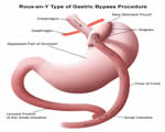 Food and Digestion