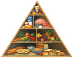 Food and Digestion