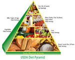 Food and Digestion