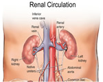 Circulation