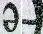 Letter "e" specimen photograph from the microscopy collection