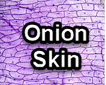 Onion Skin title slide from the microscopy collection
