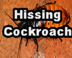 Hissing Cockroach title slide from the microscopy collection