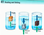 Chap 3: Forces in Fluids