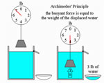 Chap 3: Forces in Fluids
