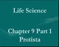 Part 1: Protista